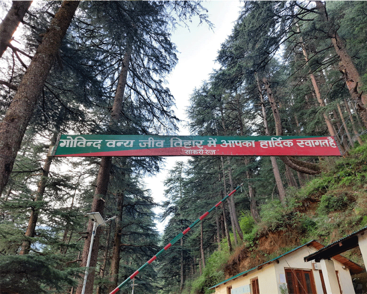 project-slider-image